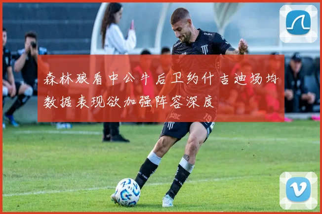 森林狼看中公牛后卫约什吉迪场均数据表现欲加强阵容深度
